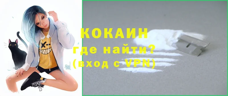 Cocaine FishScale  как найти наркотики  Новое Девяткино 